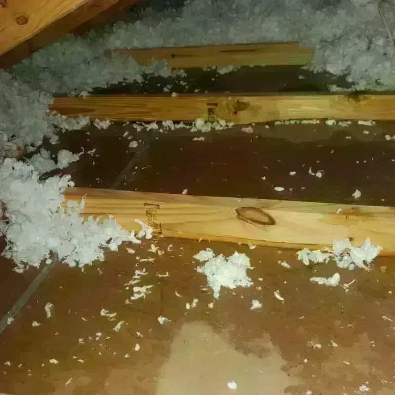 Attic Water Damage in Orange County, CA