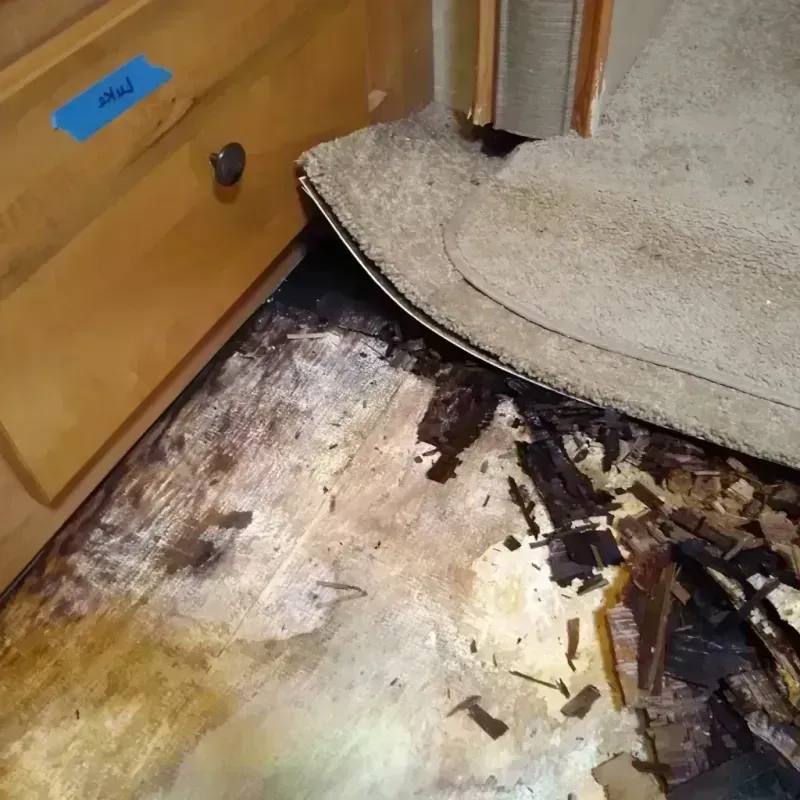 Best Wood Floor Water Damage Service in Orange County, CA